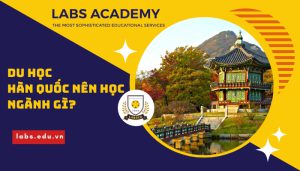 Du học Hàn Quốc nên học ngành gì? Top 8 ngành học đang hot 2023