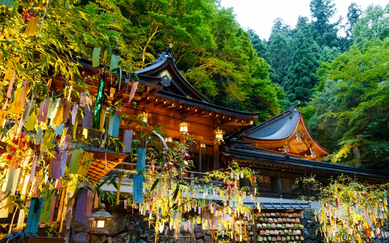 Thắp sáng cây Tre nguyện ước trong lễ hội Tanabata Matsuri