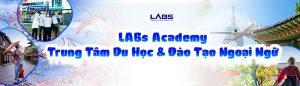 LABs Academy – Trung Tâm Du Học & Đào Tạo Ngoại Ngữ
