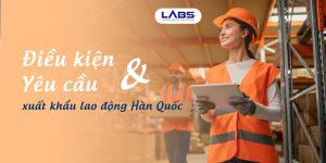 Điều kiện và yêu cầu cần biết khi đi xuất khẩu lao động Hàn Quốc