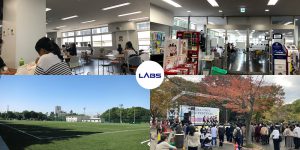 Trường đại học Chiba - LABs Academy