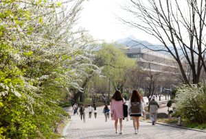 Những điều cần biết trước khi lên đường đi du học Hàn Quốc