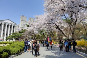 Cẩm nang văn hoá khi đi du học ở Hàn Quốc