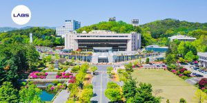 Kinh nghiệm sống và học tập khi du học ở Hàn Quốc