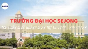 Trường Đại học Sejong - LABs Academy