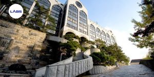 Trường Đại học Seo Kyeong - LABs Academy