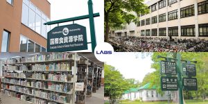Trường đại học Hokkaido - LABs Academy