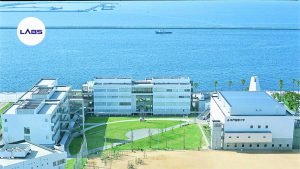 Trường đại học Quốc tế Kobe - LABs Academy