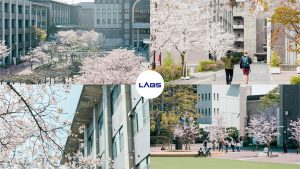 Trường Đại học Ritsumeikan - LABs Academy