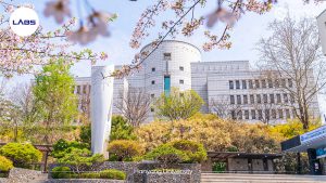 Trường Đại học Hanyang Hàn Quốc - LABs Academy