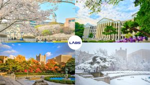 Trường Đại học Kyung Hee - LABS Academy