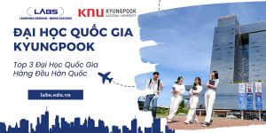 Trường Đại học Quốc gia Kyungpook - LABS Academy