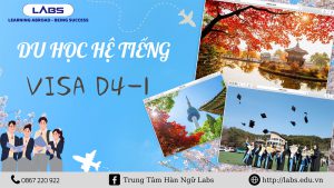 Du học hệ tiếng Hàn Quốc (VISA D4-1) - LABs Academy