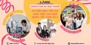 Du học Nghề Hàn Quốc (VISA D4-6) - LABs Academy