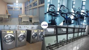 Trường Đại học Hannam - LABs Academy