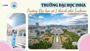 Trường Đại học Inha - LABS Academy