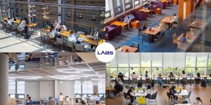 Sự thật việc học tiếng Hàn đi du học không phải ai cũng biết - LABS Academy