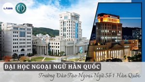 Trường Đại học Ngoại ngữ Hàn Quốc - LABs Academy