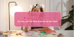 Bí quyết và thủ tục cho sinh viên Việt Nam đi du học Hàn Quốc - LABS Academy