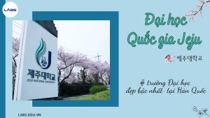 Đại Học Quốc Gia Jeju - LABS Academy