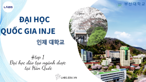 Trường Đại học Inje Hàn Quốc - LABS Academy