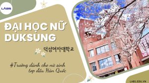 Đại học Nữ Duksung Hàn Quốc - LABS Academy