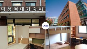 Đại học Nữ Duksung Hàn Quốc - LABS Academy