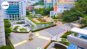 Trường Đại học Dongseo - LABS Academy