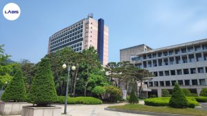 Trường Đại học Kookmin - LABS Academy