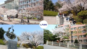 Trường Đại học Kookmin - LABS Academy