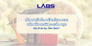 Làm thế nào để thích nghi với môi trường giáo dục khi đi du học Hàn Quốc? - LABS Academy