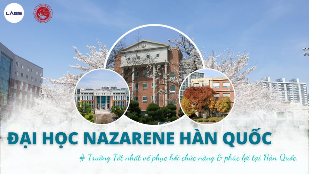 Đại học Nazarene Hàn Quốc - 나사렛대학교 - LABS Academy