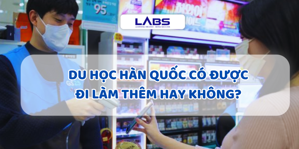 Du học Hàn Quốc có được đi làm thêm hay không? - LABS Academy