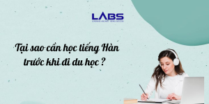 Tại sao cần học tiếng Hàn trước khi đi du học? - LABS Academy