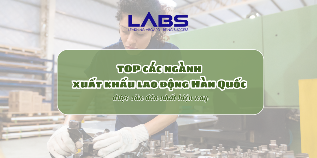 TOP các ngành xuất khẩu lao động Hàn Quốc được săn đón nhất hiện nay - LABS Academy