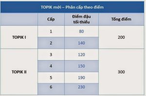 Học tiếng Hàn đến trình độ nào thì có thể giao tiếp trôi chảy trong cuộc sống hằng ngày? - LABS Academy
